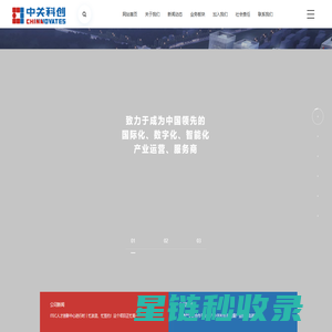 网站截图