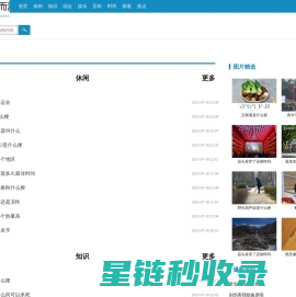 网站截图