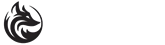 广州灵狐技术有限公司