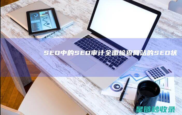 SEO中的SEO审计：全面检查网站的SEO状况 (SEO中的H标签是什么意思)