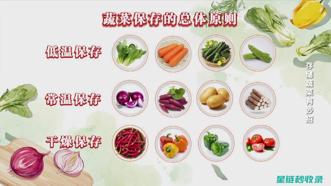 揭秘食品保存秘密：如何正确保存薯片延长保质期 (揭秘食品保存的方法)