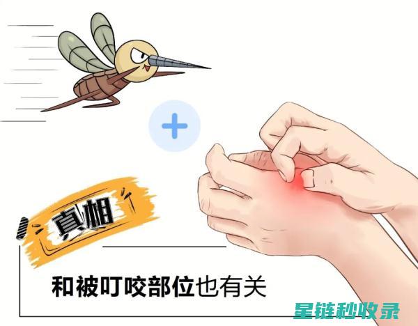 被蚊子咬了怎么办？止痒小技巧来啦 (被蚊子咬了怎么办最快止痒)