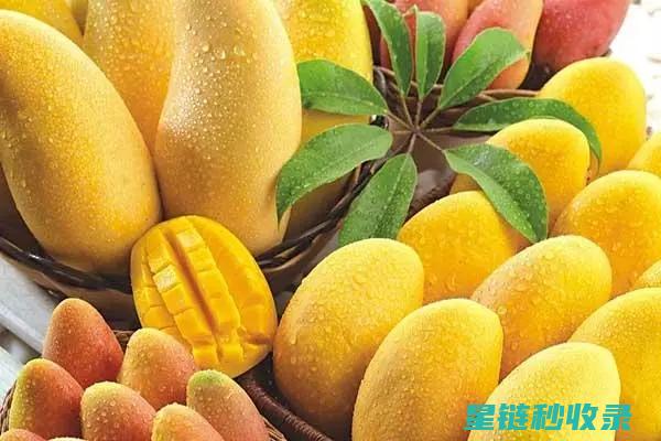 水果催熟：不同水果对催熟时间的需求 (水果催熟不放苹果可以吗)
