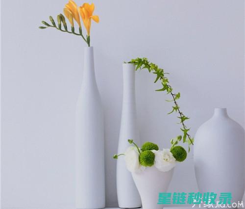 花瓶清洁与保养的艺术，让生活更美好 (花瓶清洁与保养的区别)