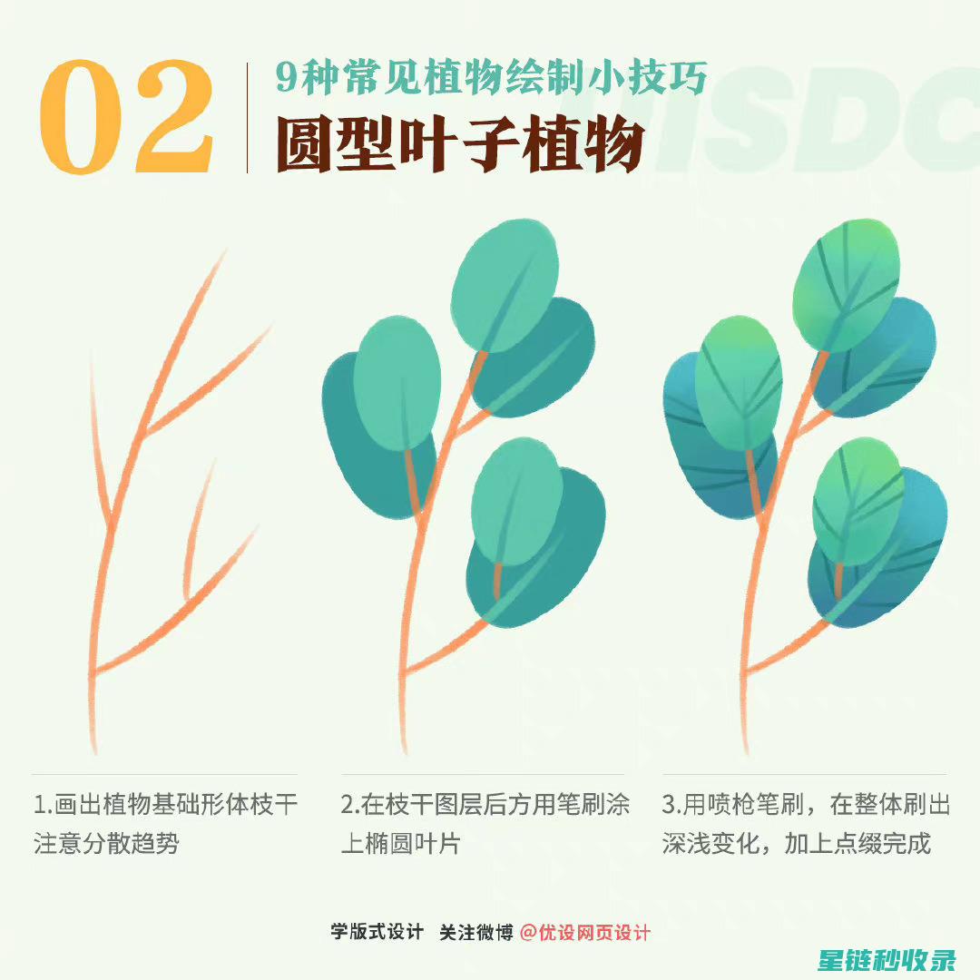 如何为植物叶片提供光亮？专业的养护建议与实用技巧 (如何为植物叶提供能量)