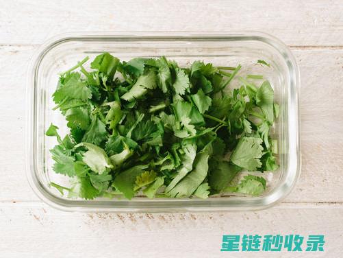 香菜保鲜小技巧，这个方法真的绝了！ (香菜保鲜小技巧)