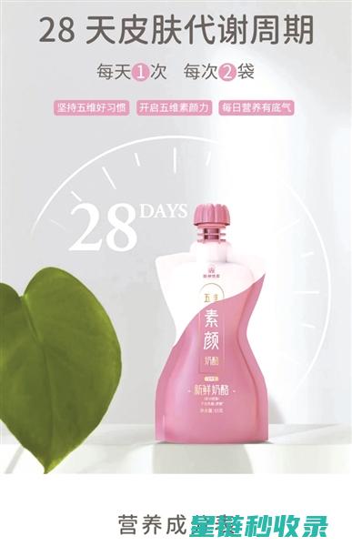 奶酪保鲜技巧分享：延长奶酪的美妙时光 (奶酪保鲜技巧和方法)