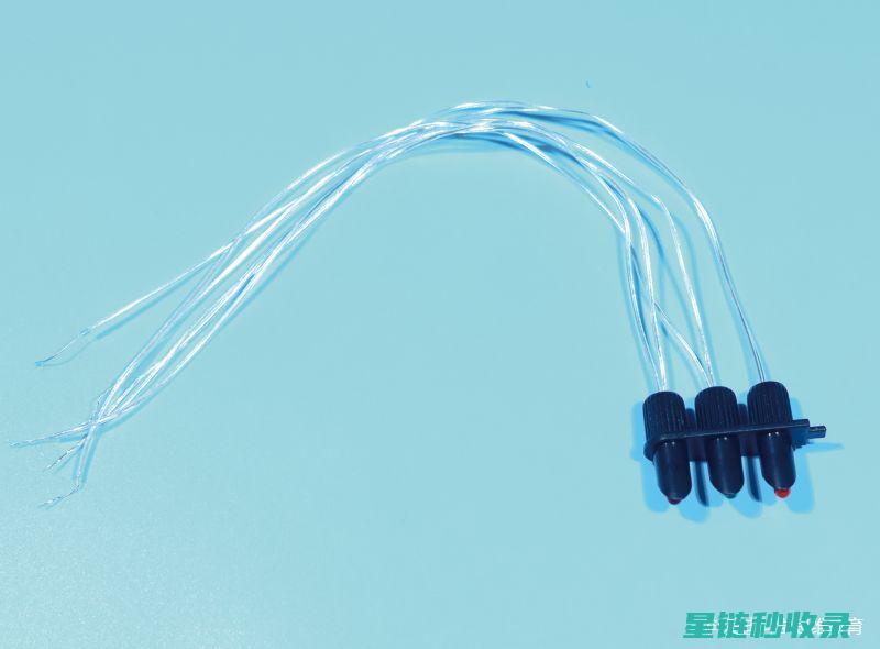 DIY灯泡除尘：家庭必备清洁小窍门 (废灯泡diy)