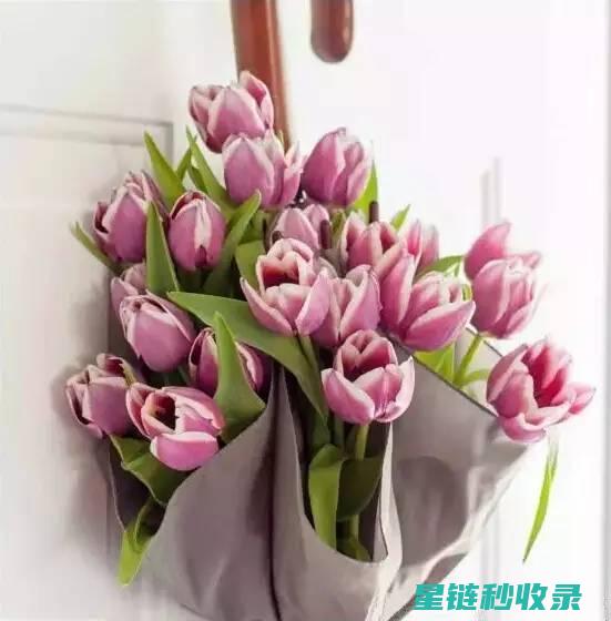 雨伞锈迹困扰？看这里！轻松清除的秘诀 (雨伞锈迹困扰怎么解决)