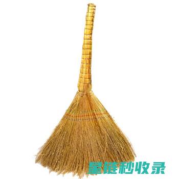 扫帚清洁：从日常维护到深度清洁的全面攻略 (扫帚清洗)