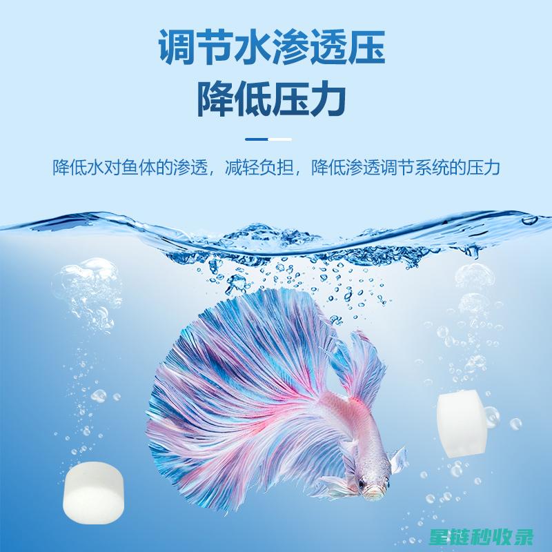 鱼缸清洁与生态平衡：维持良好环境的秘诀 (鱼缸清洁与生长的区别)